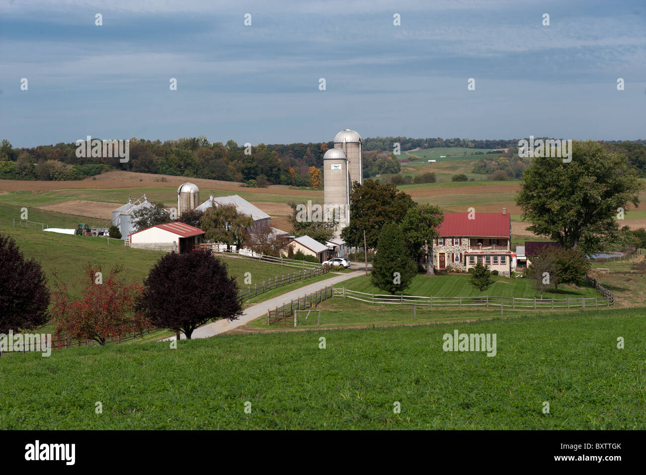 Windsor Manor Farm, dairy farm Stock Photo Alamy