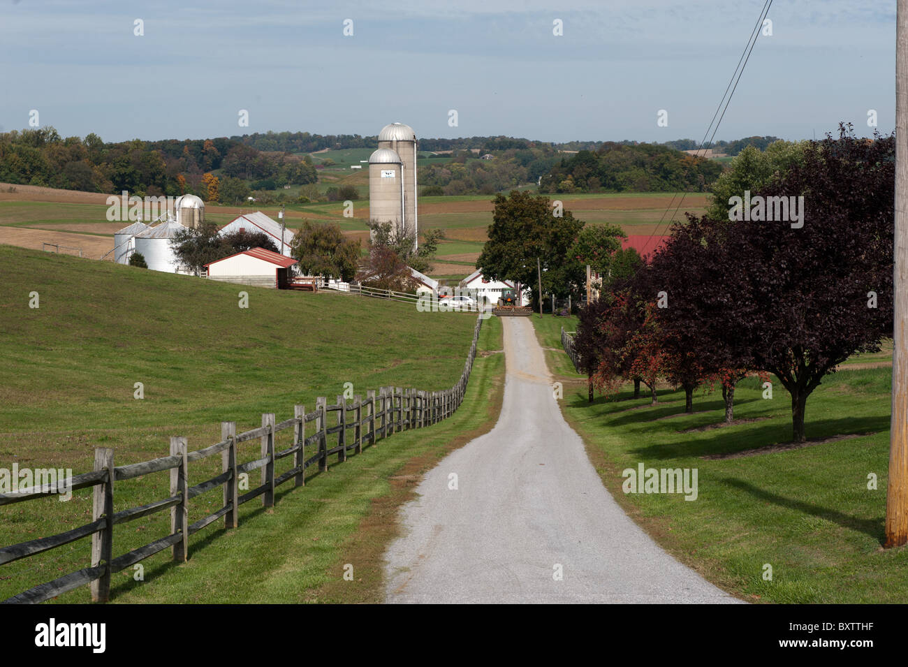 Windsor Manor Farm, dairy farm Stock Photo Alamy