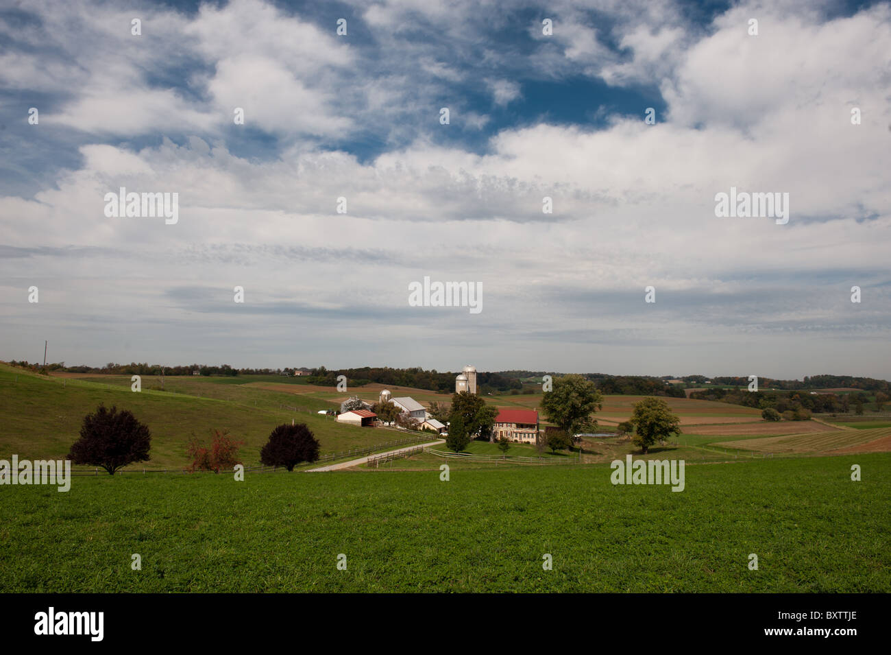 Windsor Manor Farm, dairy farm Stock Photo Alamy