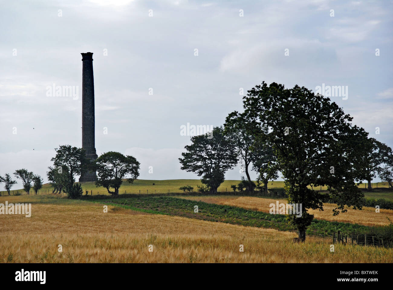 C R Cockerell High Resolution Stock Photography and Images - Alamy