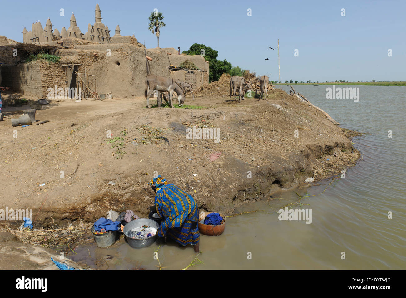 Local woman washing clothes on the banks of the Bani river. Sirimou, Mali Stock Photo