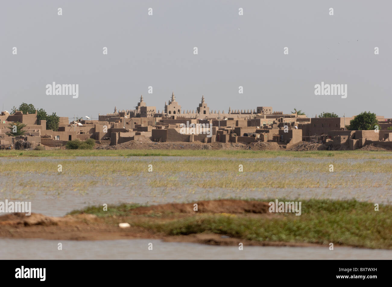 View over the Bani River of the Great  Mosque of Djenné in the distance, Mali Stock Photo