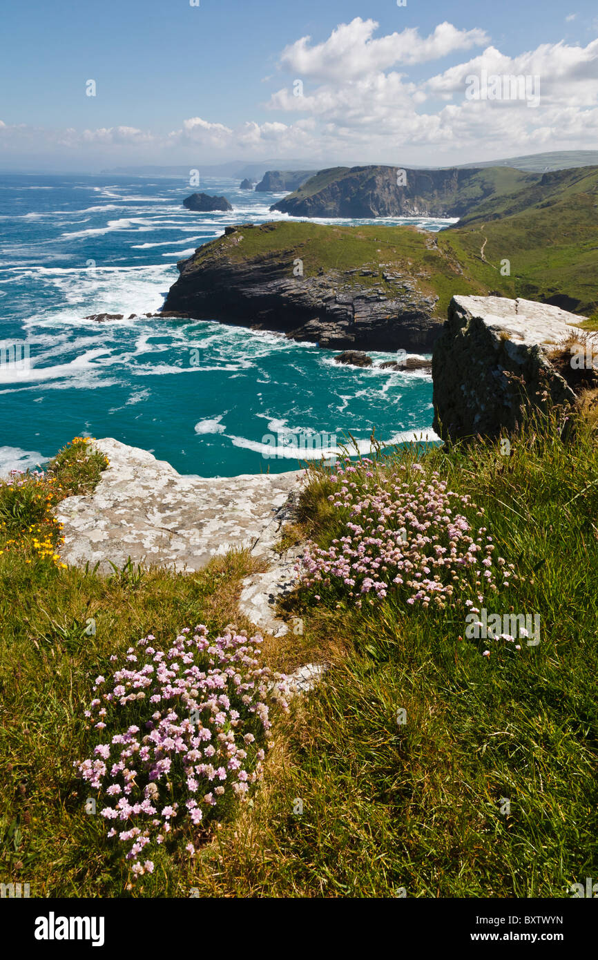 Tintagel Haven and Barras Nose from Tintagel Castle, Cornwall, England Stock Photo