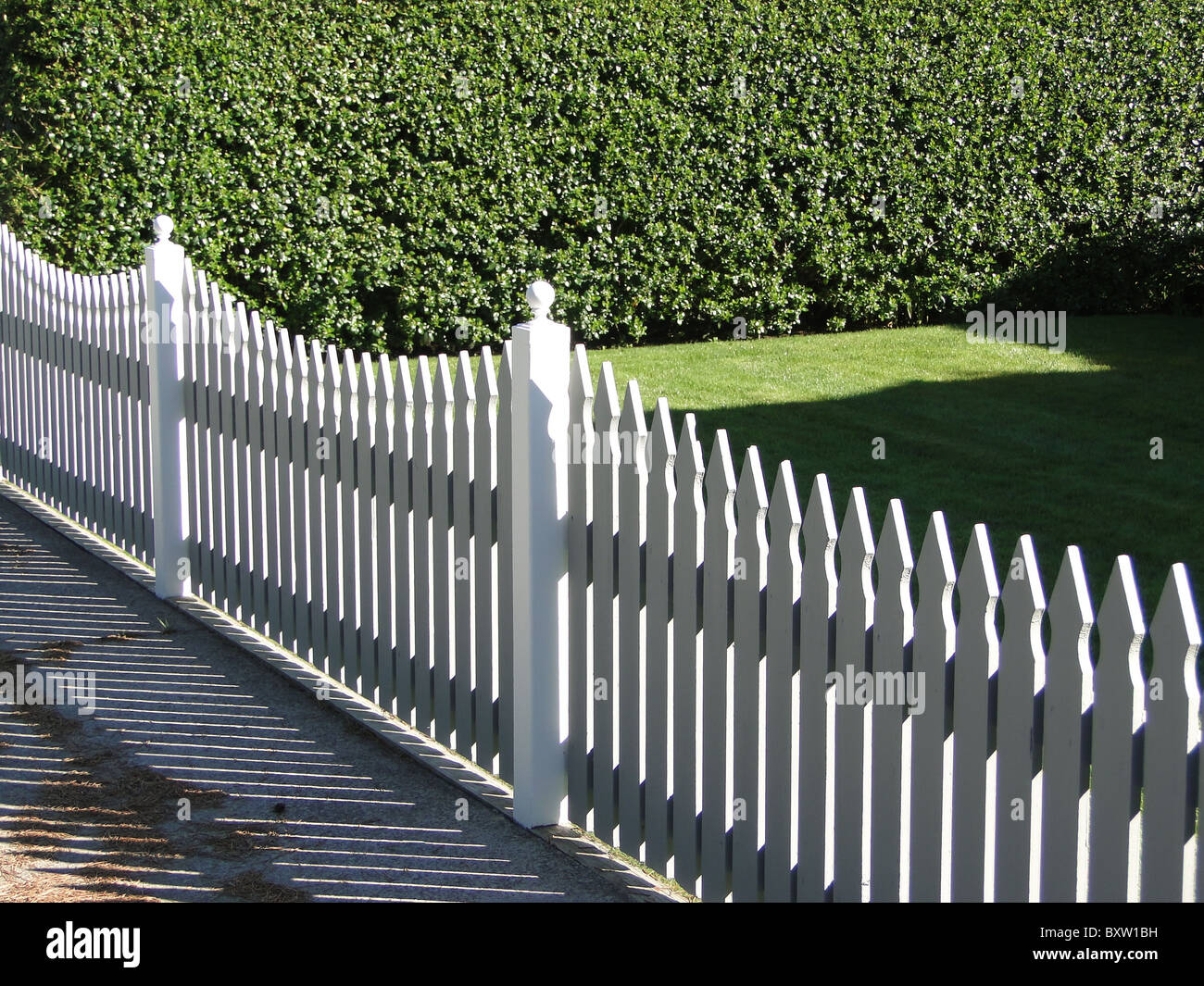 White picket fence and green hedge, Seaside Oregon Stock Photo