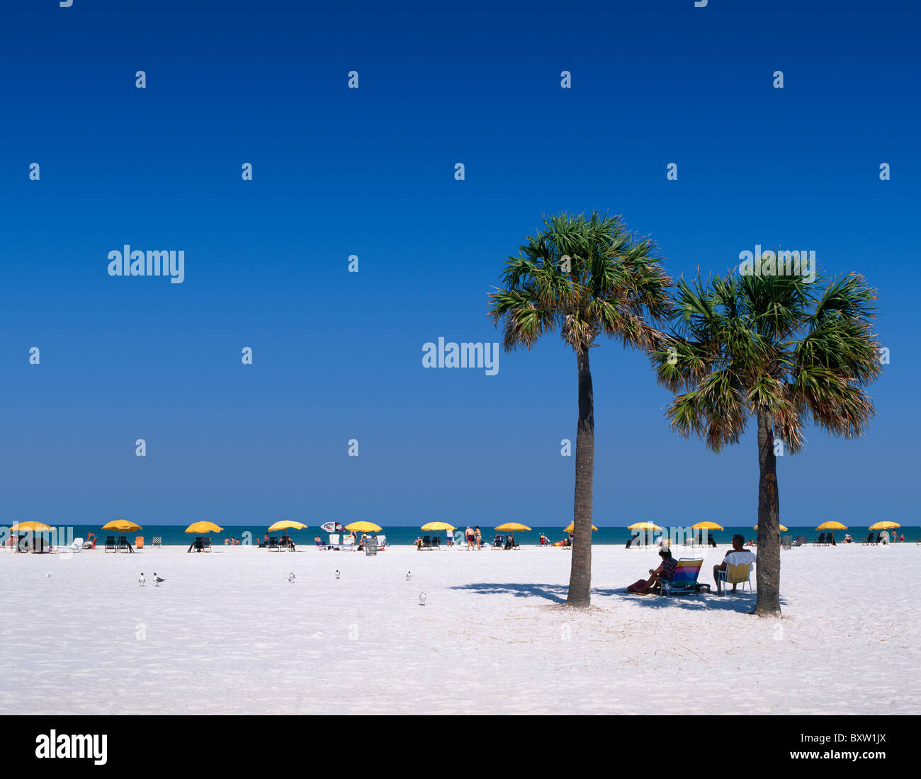 Clearwater beach and florida hi-res stock photography and images - Alamy