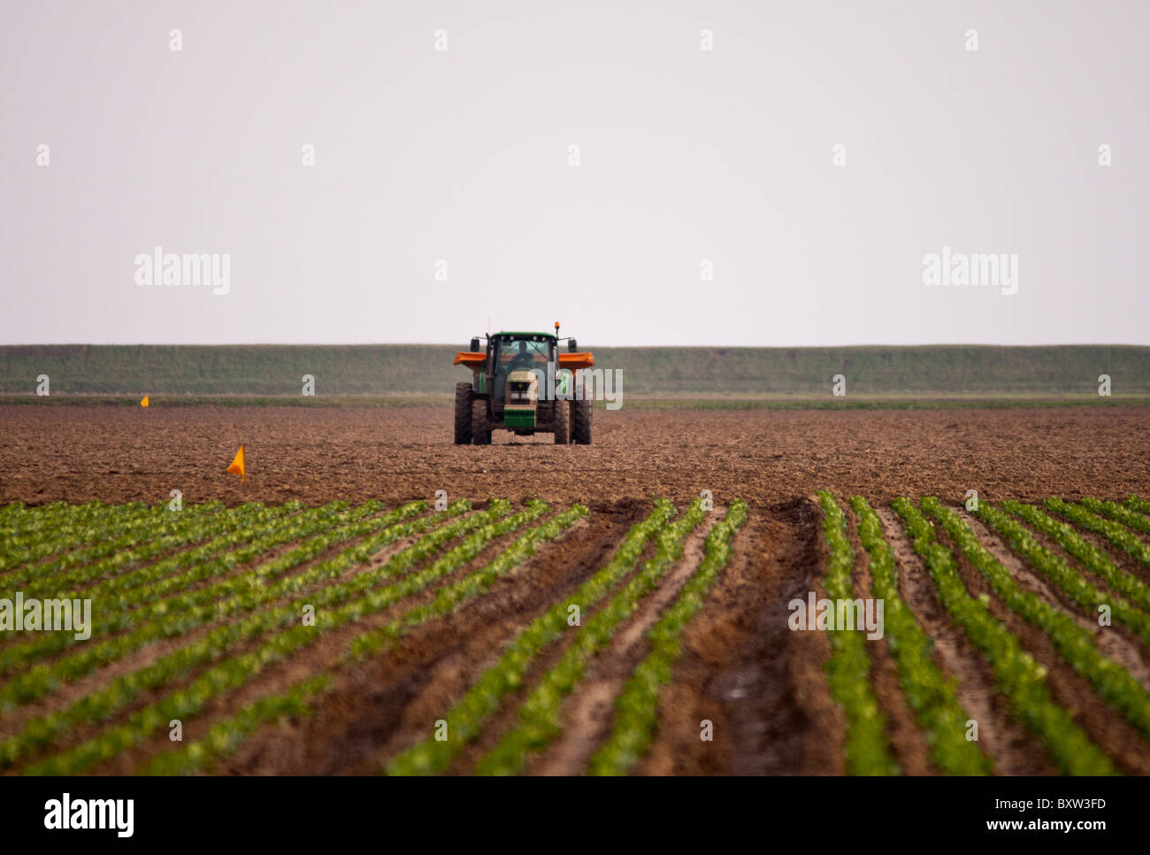 Tractor spreading fertilizer Stock Photo