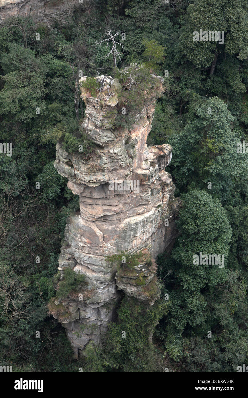 Zhangjiajie National Forest Park, Wulingyuan Scenic Area, China, Hunan