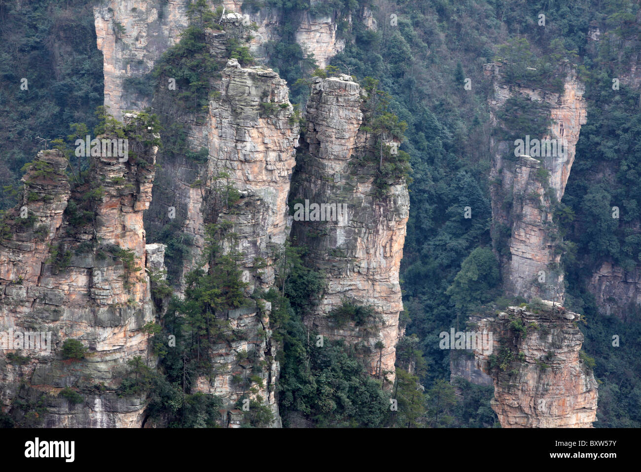 Zhangjiajie National Forest Park, Wulingyuan Scenic Area, China, Hunan