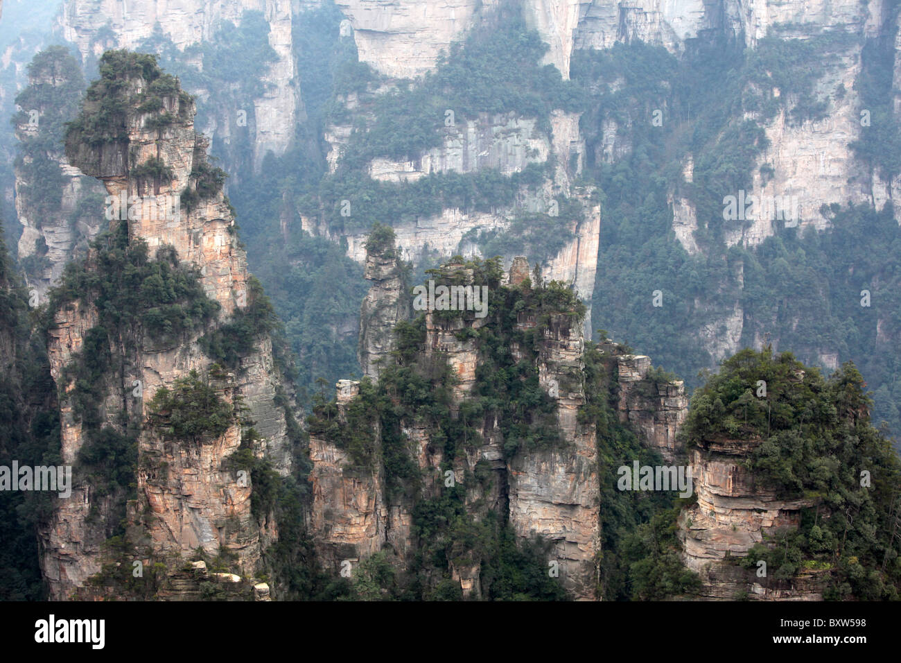 Zhangjiajie National Forest Park, Wulingyuan Scenic Area, China, Hunan