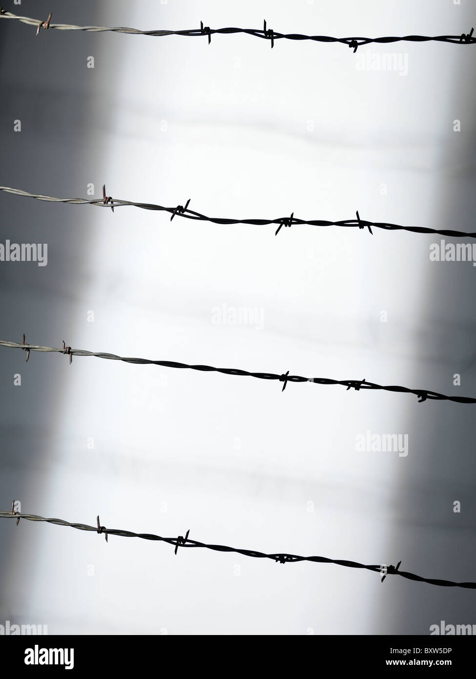 Barbed wire conceptual background Stock Photo