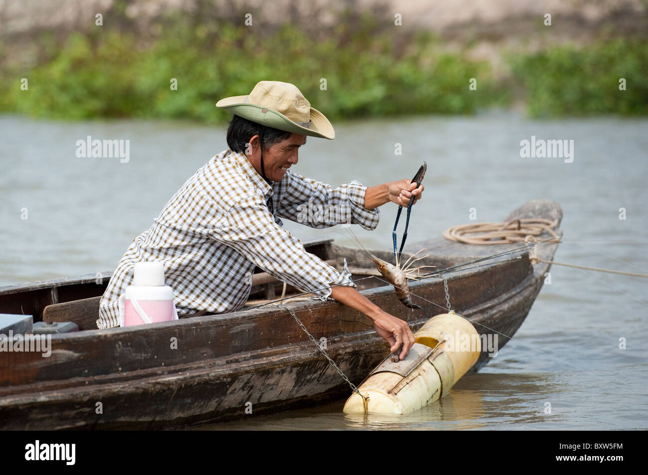 Fisherman collecting prawns, Mekong Delta, Vietnam Stock Photo - Alamy