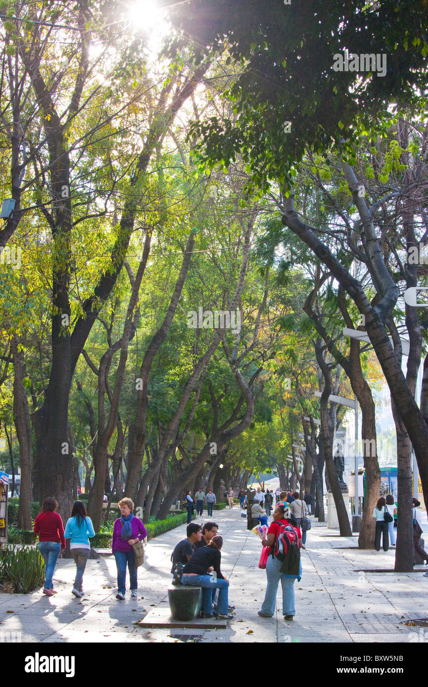 Sidewalk on Paseo de la Reforma in Mexico City Stock Photo