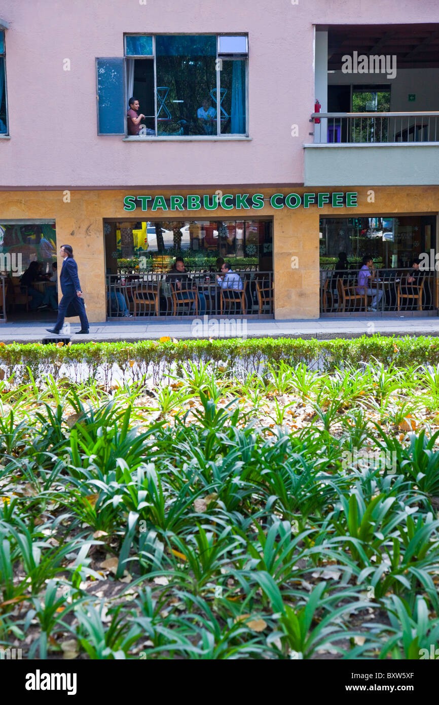 Starbucks Coffee in the Zona Rosa, Mexico City, Mexico Stock Photo Alamy