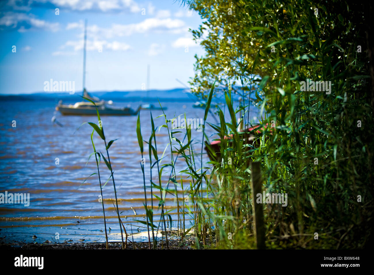 Image of Lake Cooribah Noosa Queensland Australia, weeds and plants in foreground and boats in background Stock Photo
