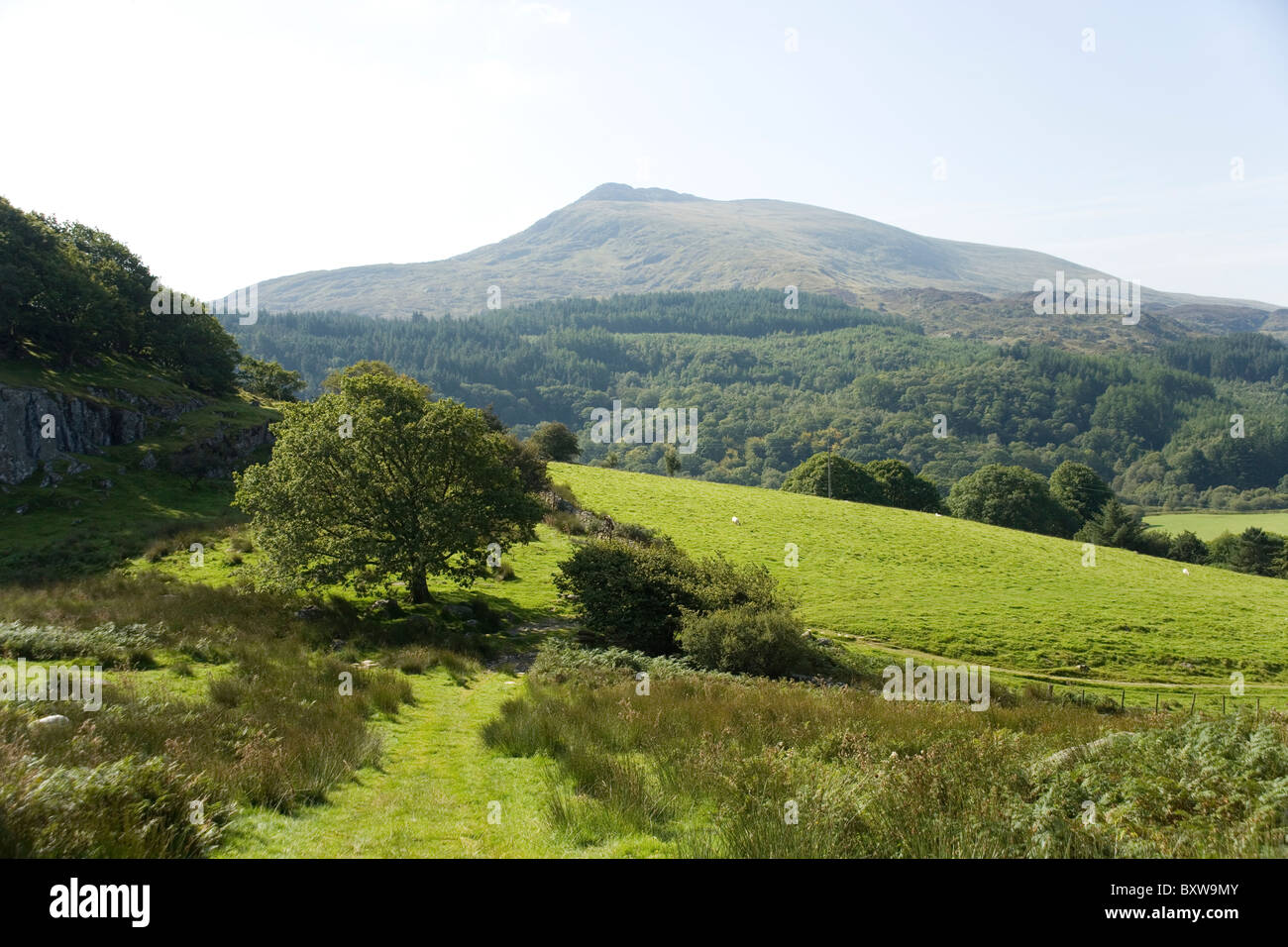 Carnedd Moel Siabod from Capel Curig in Snowdonia, North Wales Stock Photo