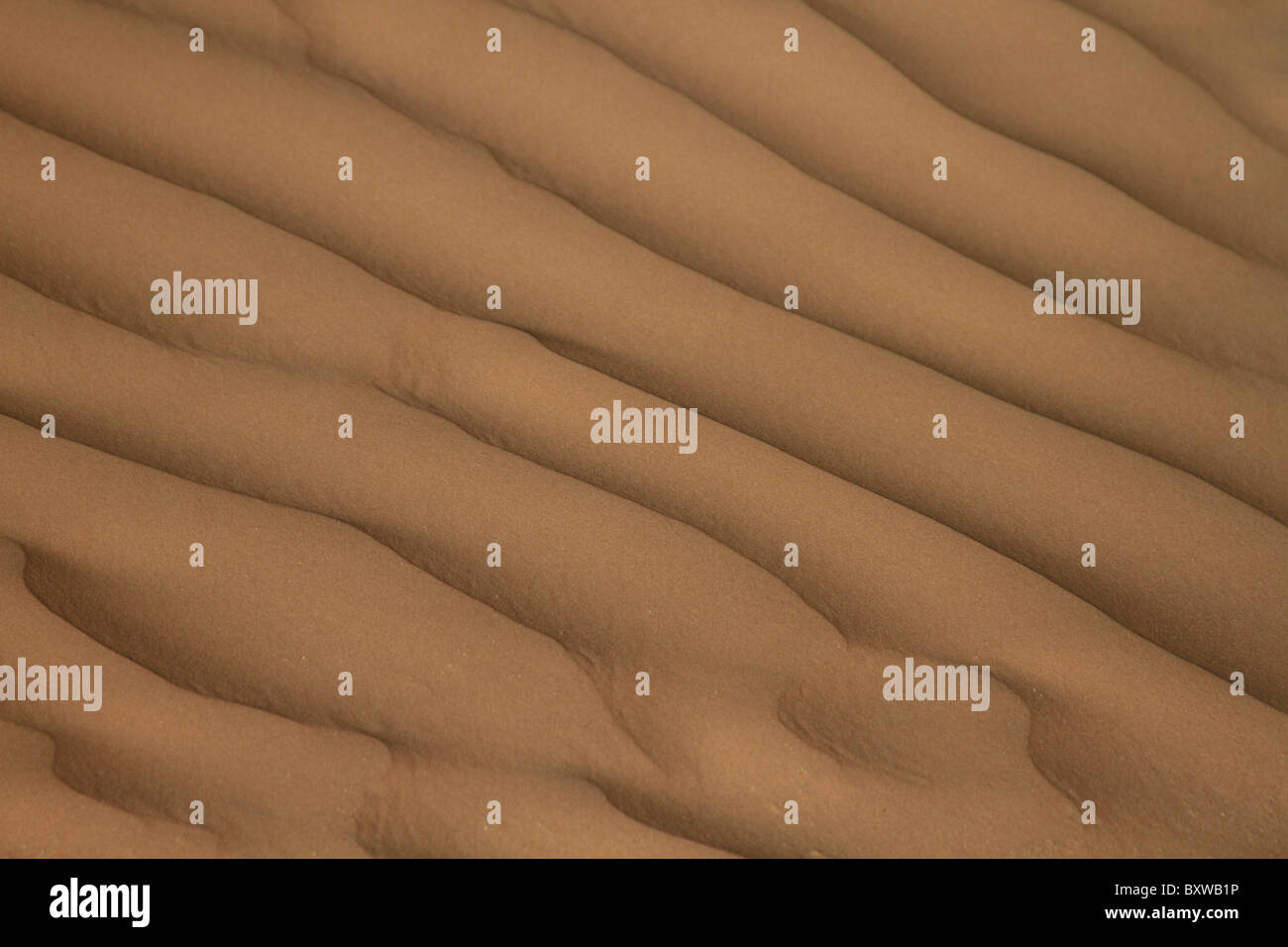 sandy, sand, sahara, texture, dune, background, Stock Photo