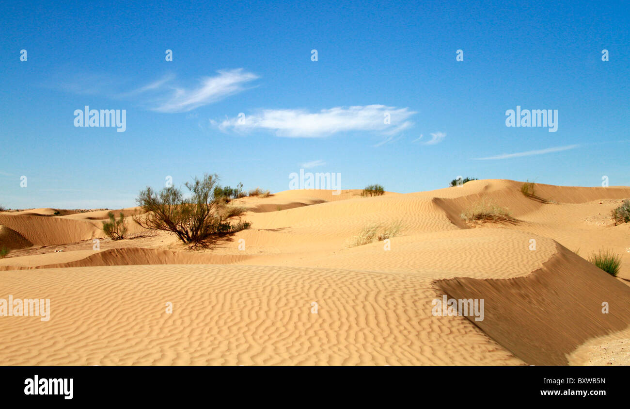 Sahara sand dunes of Douz, Tunisia Stock Photo
