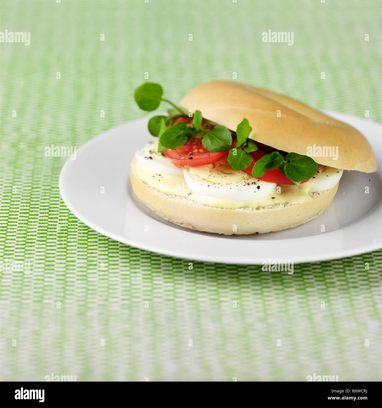 Egg mayo and watercress sandwich hires stock photography and images