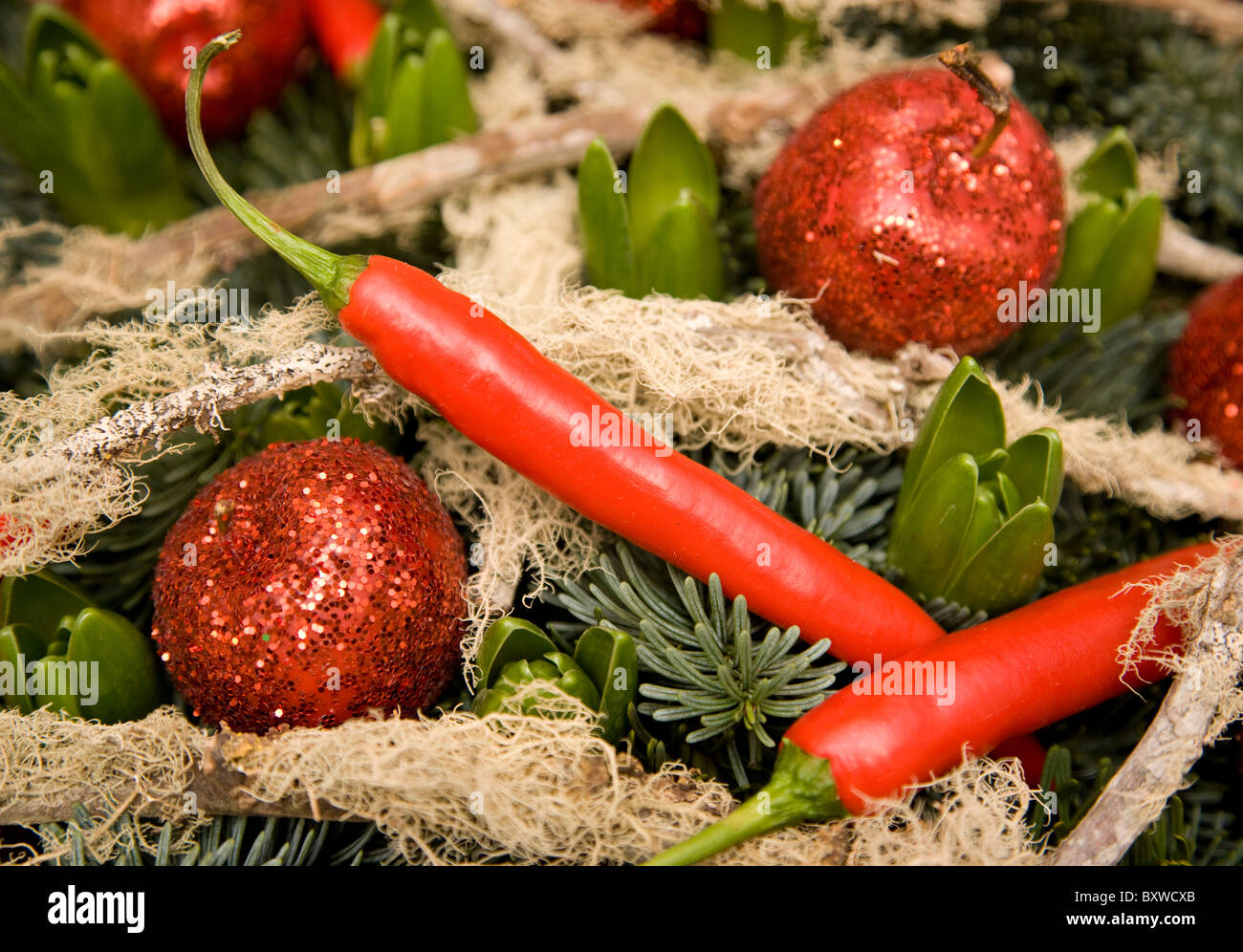 Festive Decoration made with Chilli Peppers Stock Photo