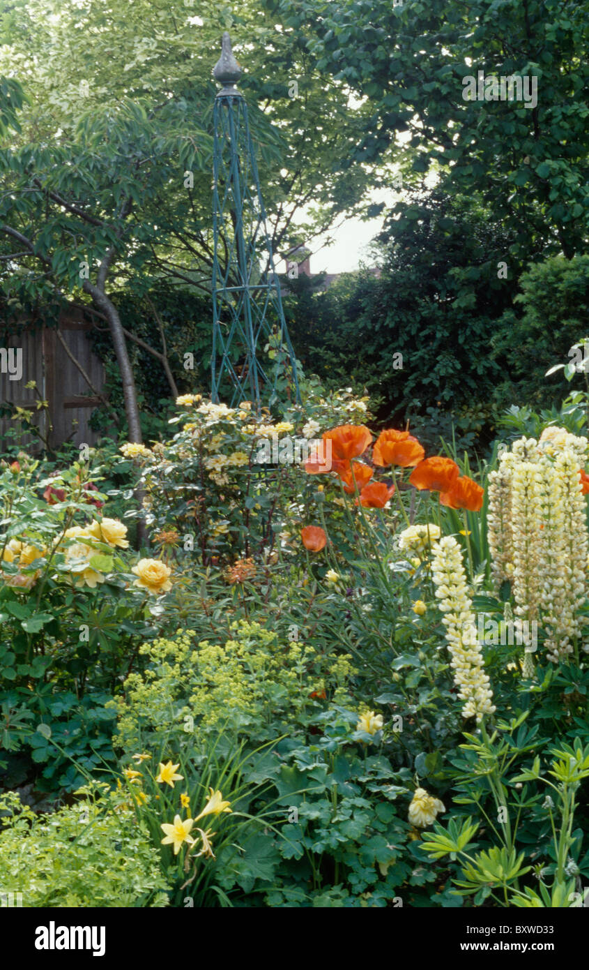 Lime-green alchemilla mollis with red poppies and yellow lupins and roses in summer garden border Stock Photo