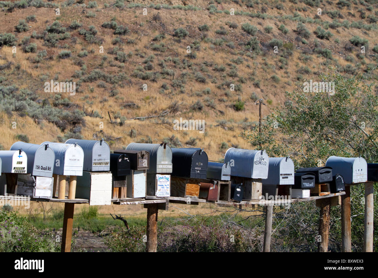 Mailboxes lined up for the delivery of mail in a rural area near Challis, Idaho, USA. Stock Photo