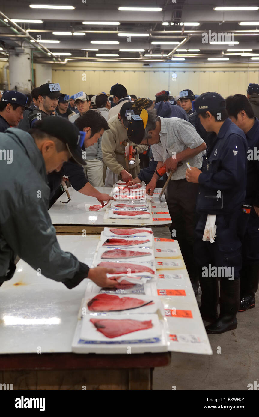 Japanese men inspecting tuna at tuna fish auction, Tsukiji Fish Market