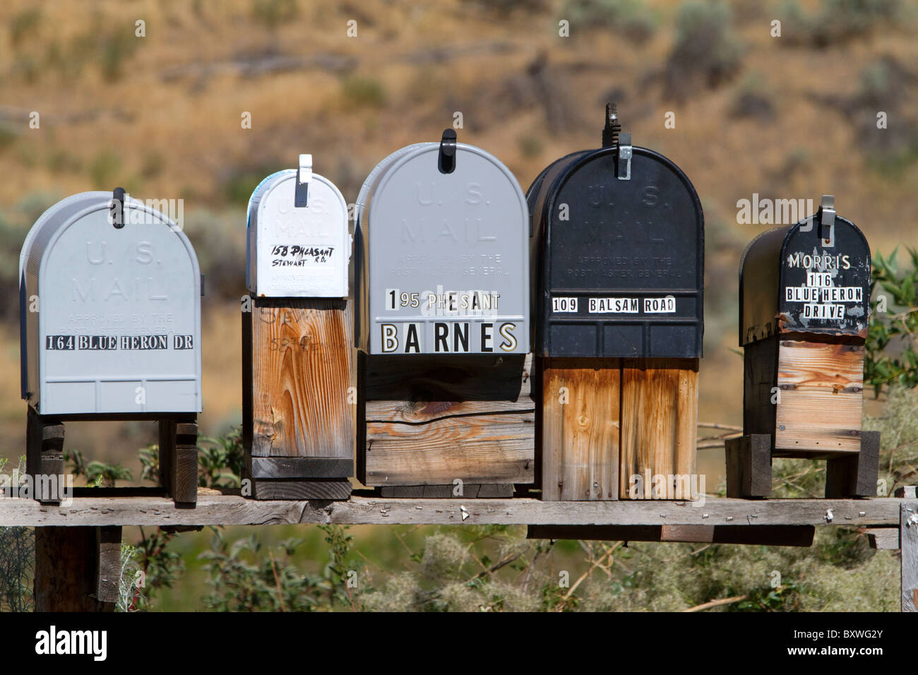 Mailboxes lined up for the delivery of mail in a rural area near