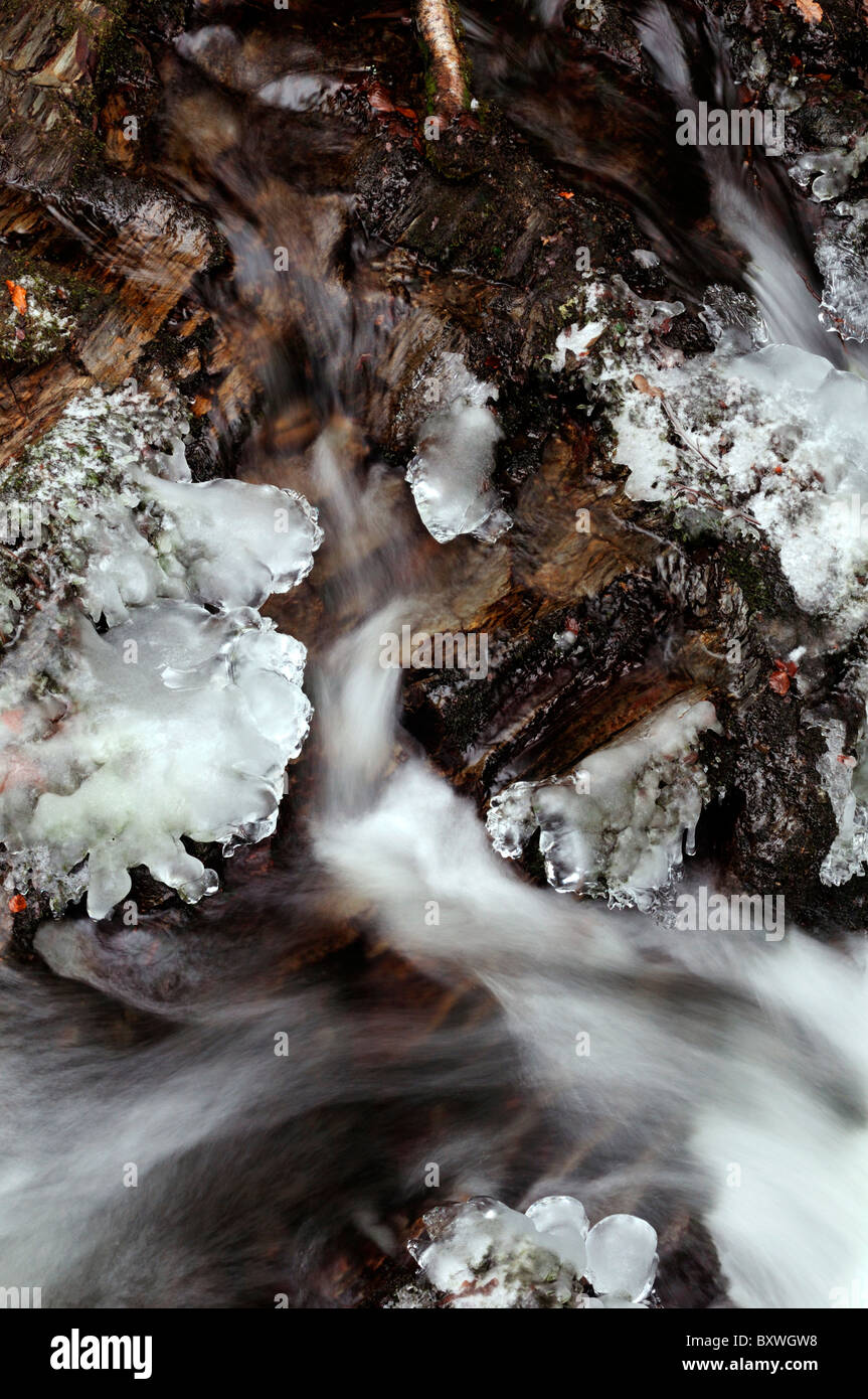 frost stream