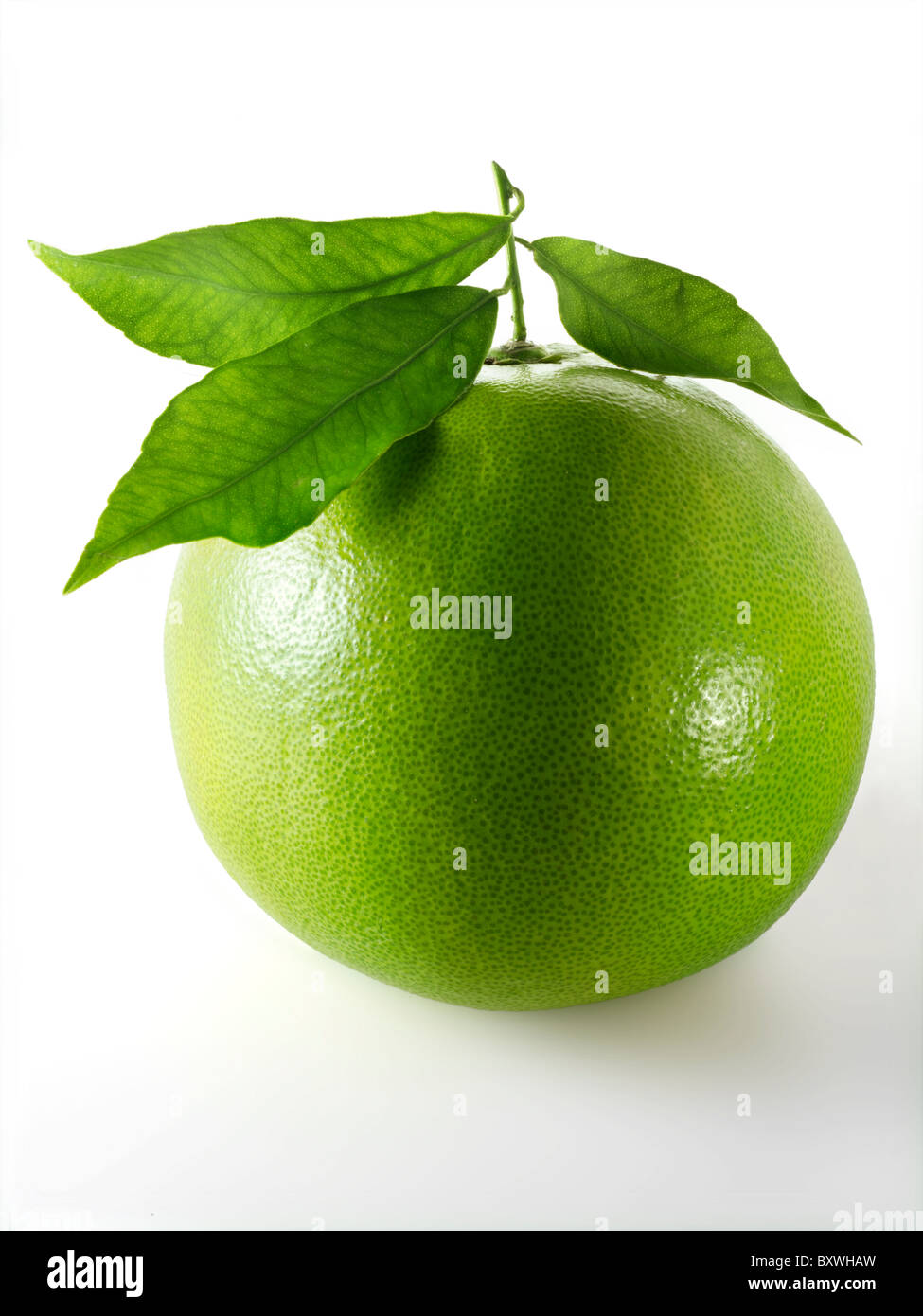 Fresh Pomelo citrus Fruit Stock Photo Alamy