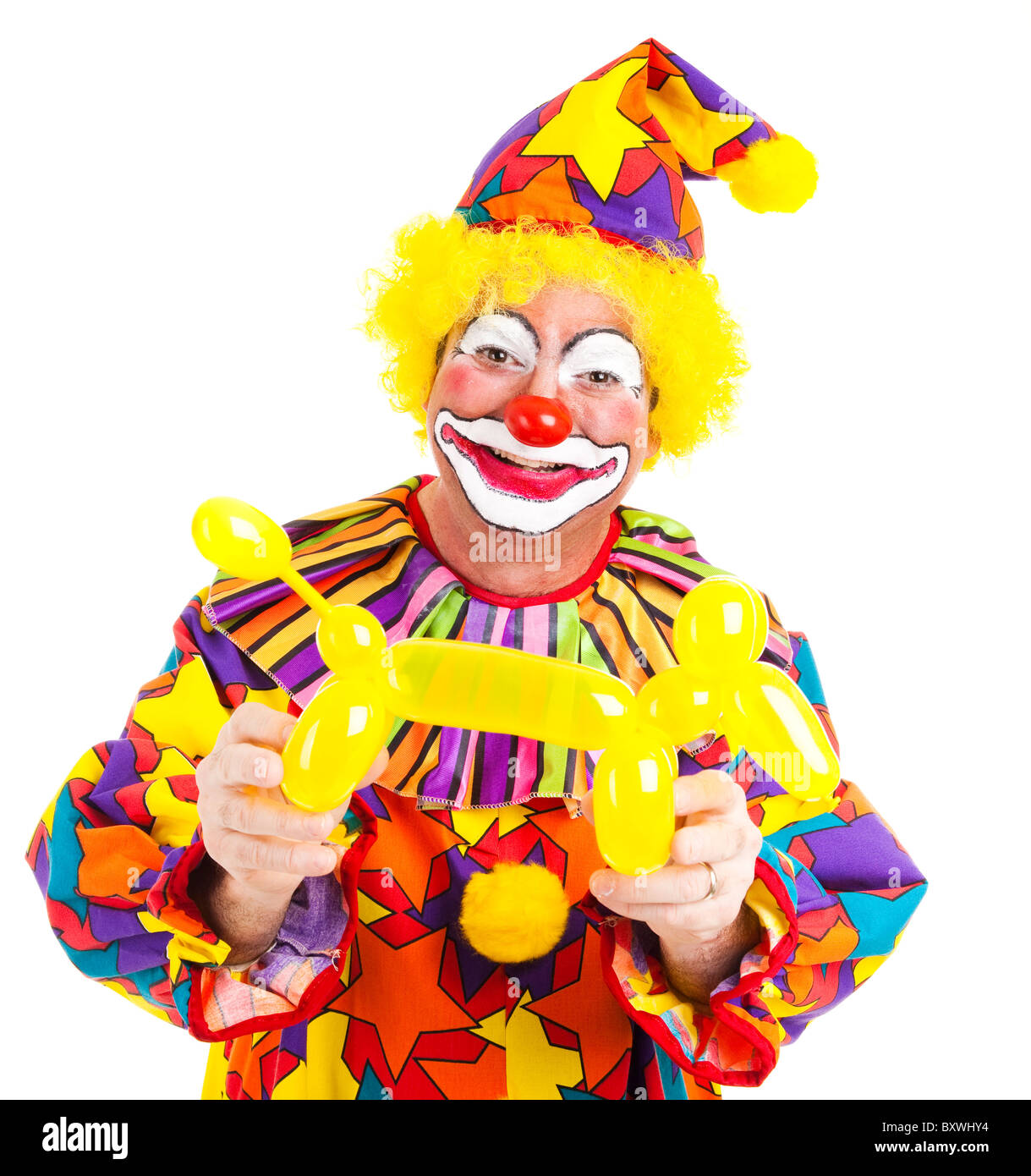 Dog Dressed As Clown High Resolution Stock Photography and Images - Alamy