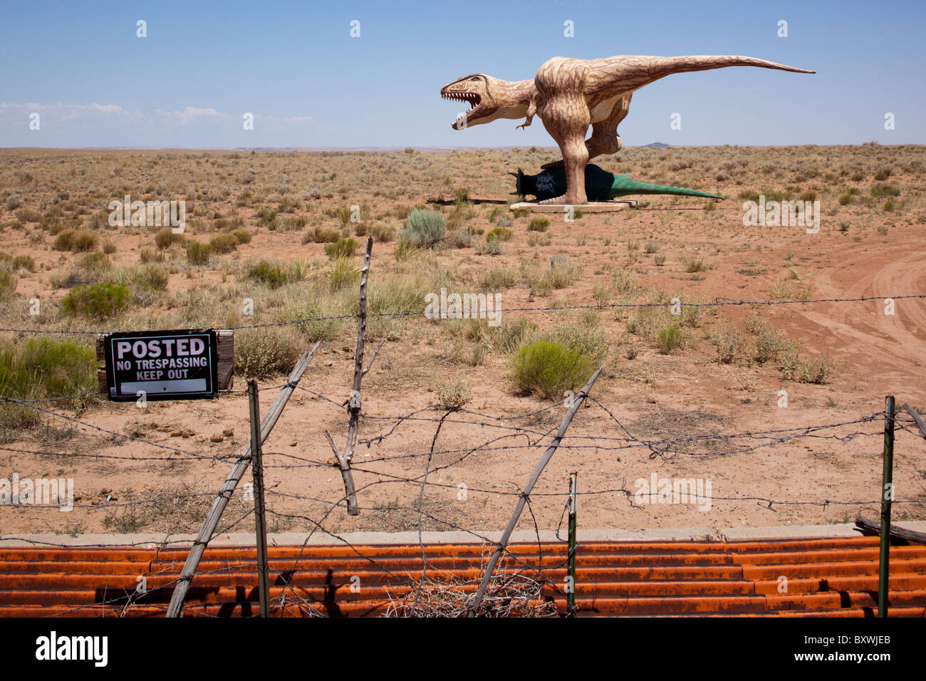 USA, Arizona, Holbrook, Sculpture of fighting dinosaurs on dusty desert road in desert near historic Route 66 on summer morning Stock Photo