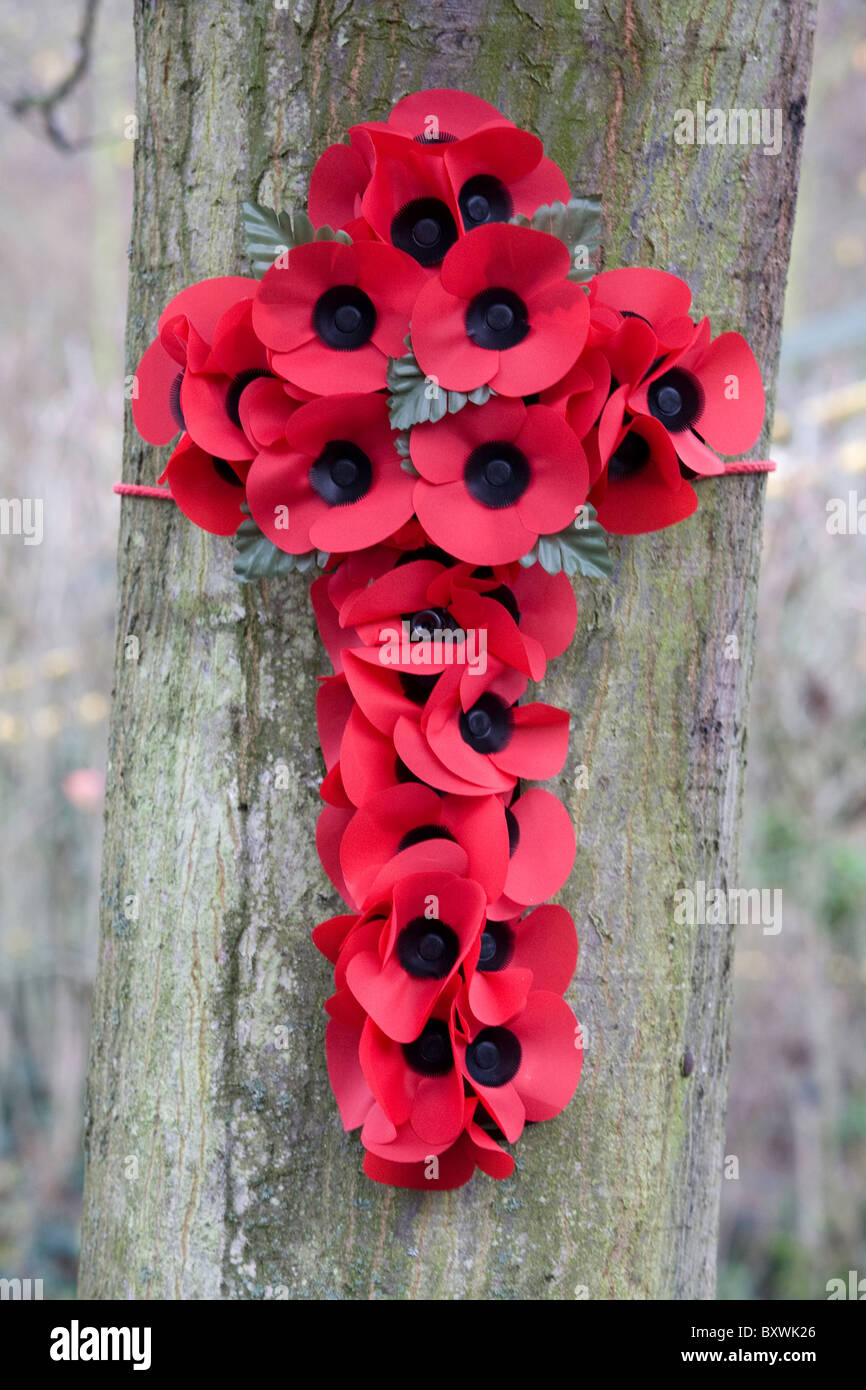 Poppies in the shape of a cross. Stock Photo