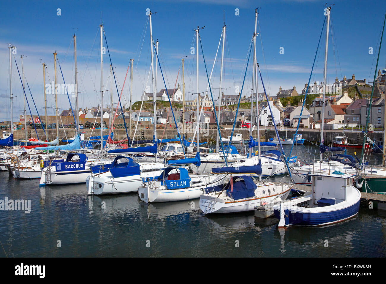 Marina, Findochty, Moray, Scotland, United Kingdom Stock Photo