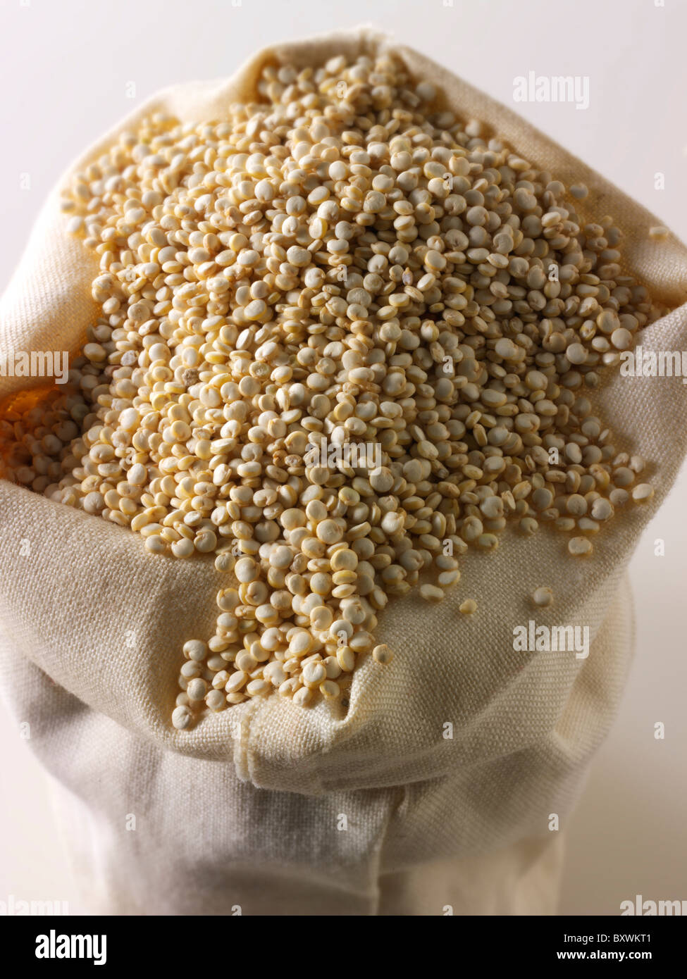 Quinoa grains Stock Photo