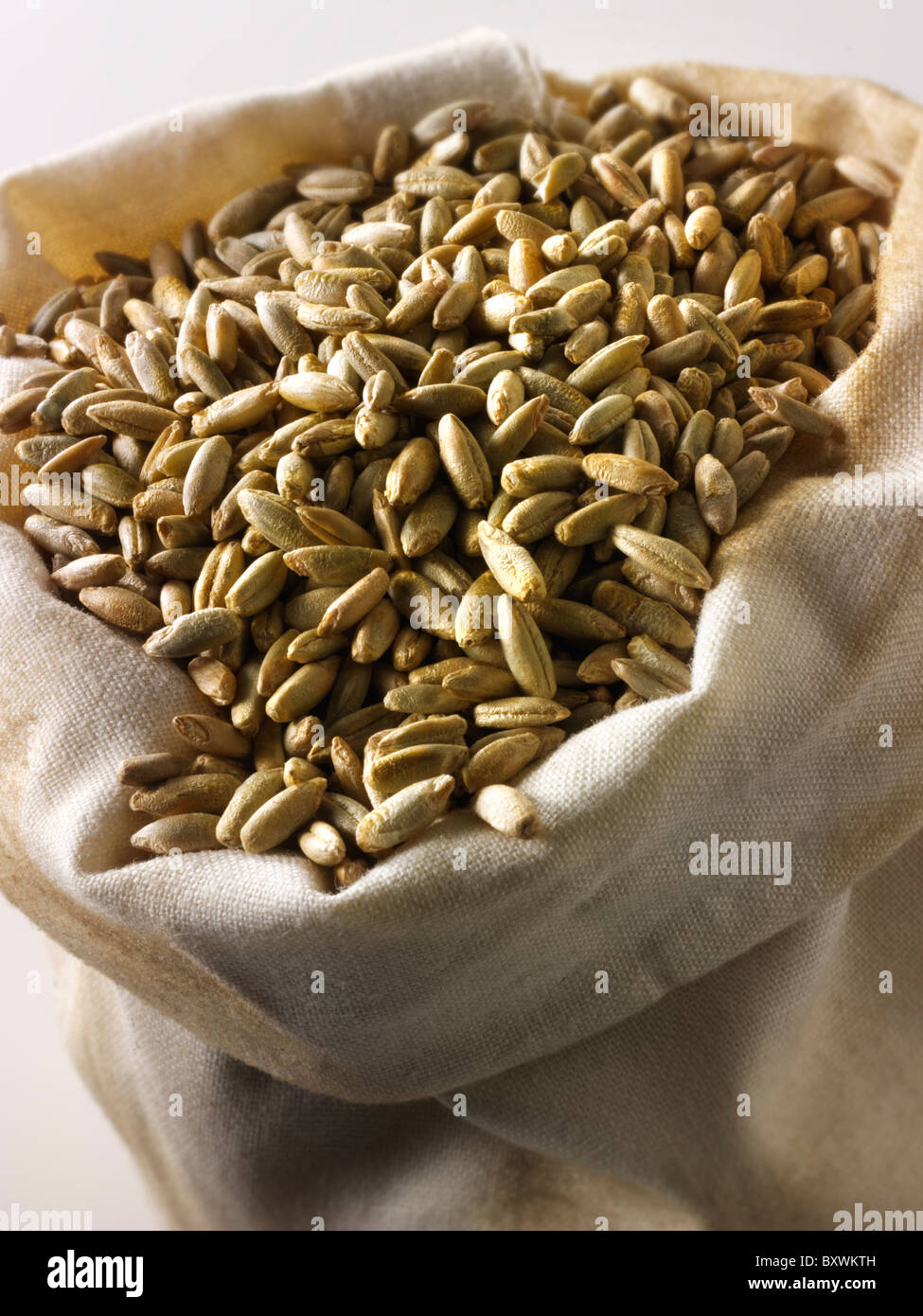 Organic Rye Grains Stock Photo