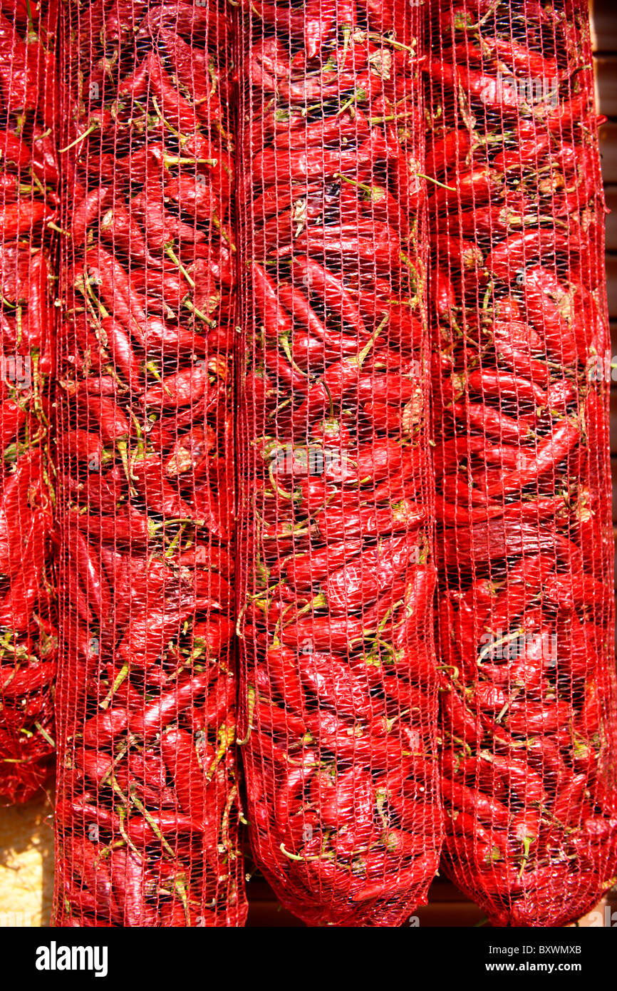 Capsicum annuum or chili peppers drying to make Hungarian paprika - Kalocsa Hungary Stock Photo