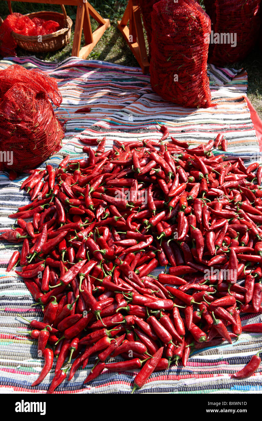 Paprika chili being dried hi-res stock photography and images - Alamy