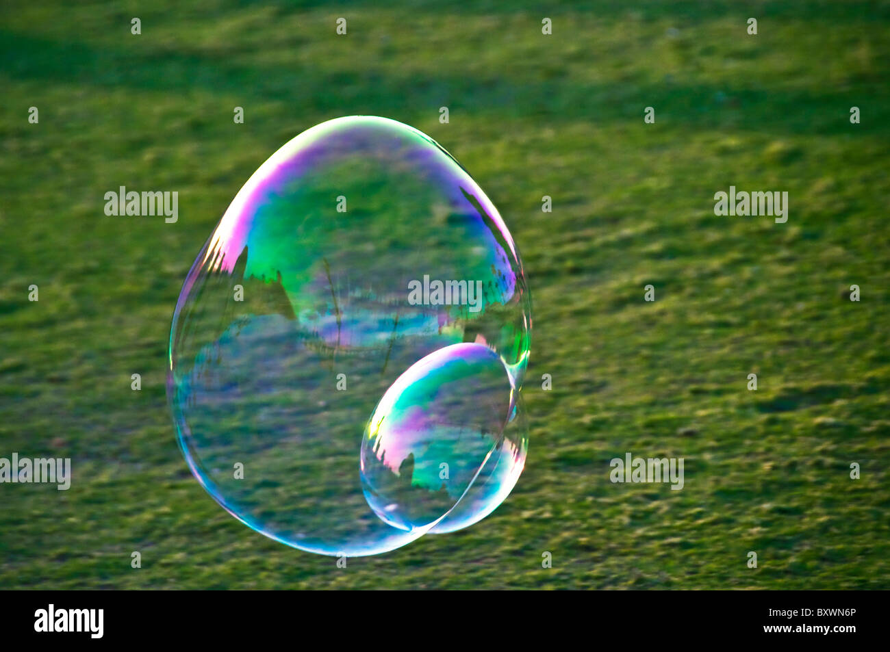 Soap bubble surface tension hires stock photography and images Alamy
