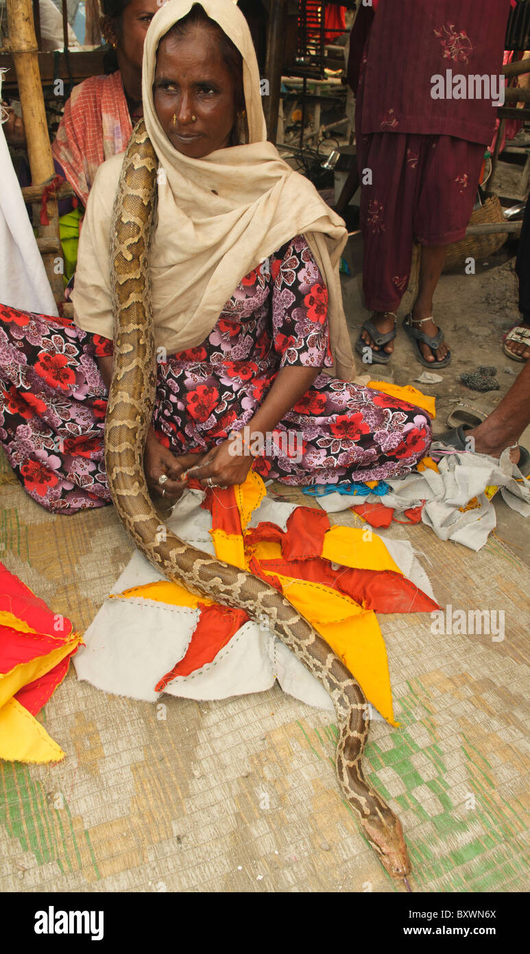 Indian woman and a python in kathmandu hi-res stock photography and ...