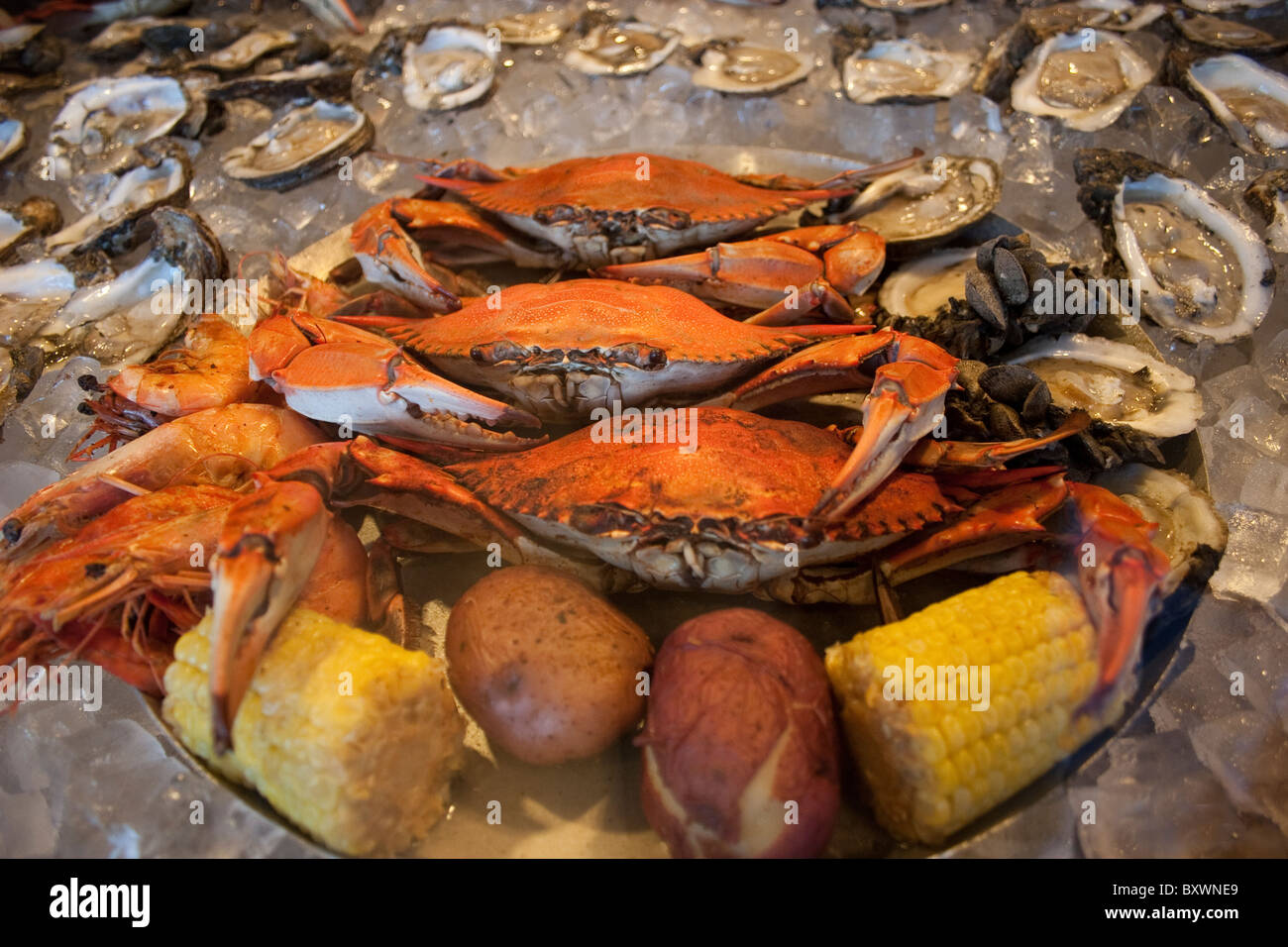 Boiled crabs and oysters on the half shell in a New Orleans seafood