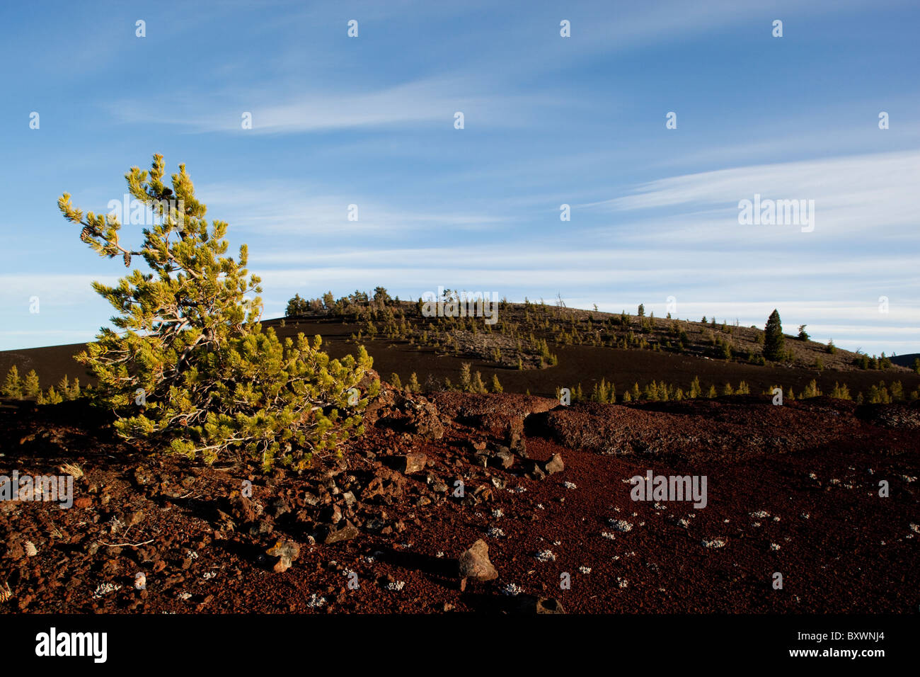 USA, Idaho, Craters of the Moon National Monument, Ancient Lava fields on spring evening Stock Photo
