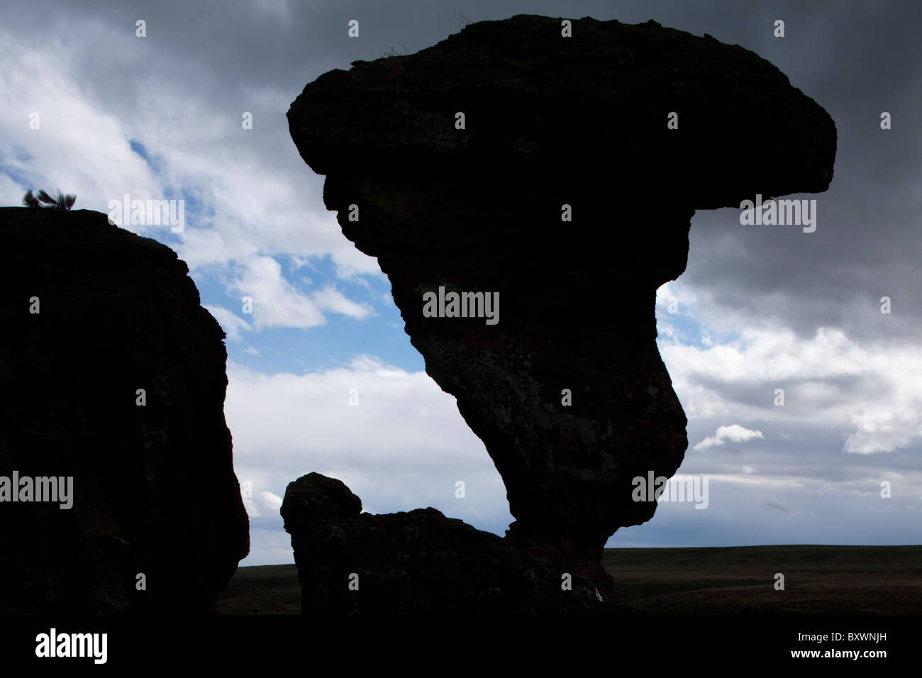 USA, Idaho, Buhl, Balanced Rock State Park, Eroded basalt rock tower formation on overcast