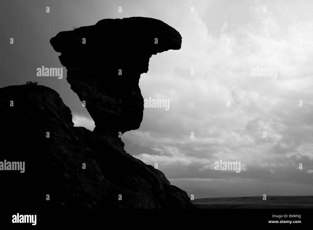 USA, Idaho, Buhl, Balanced Rock State Park, Eroded basalt rock tower formation on overcast