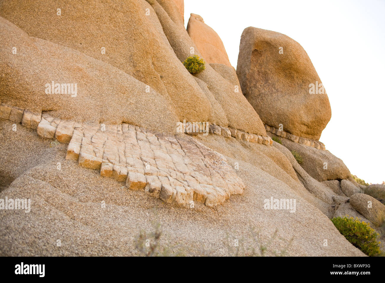 Unique monzogranite rock formations with aplite vein - USA Stock Photo