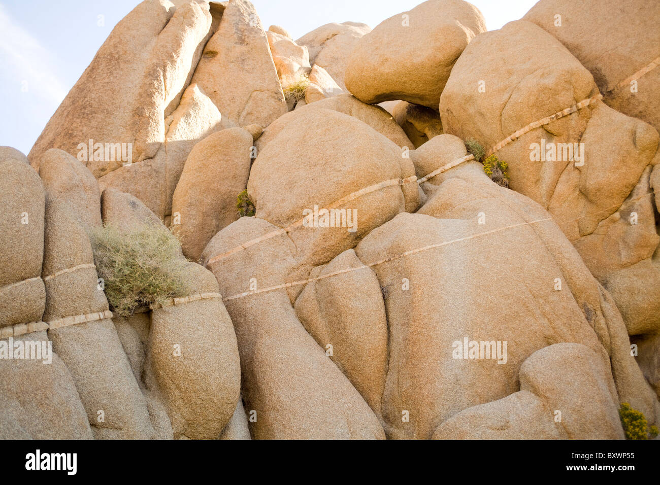 Unique monzogranite rock formations with aplite veins - USA Stock Photo