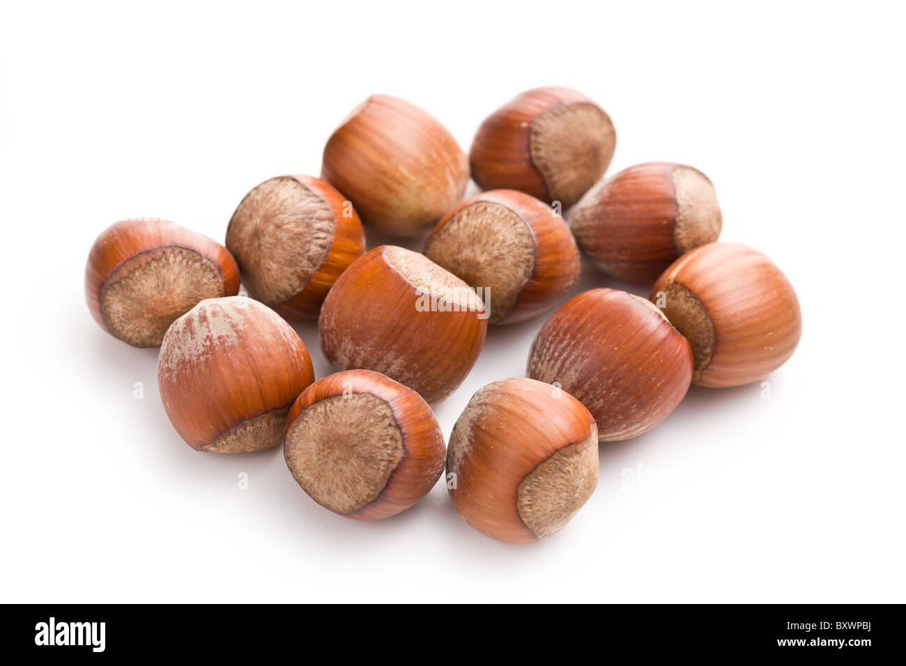 the hazelnuts on a white background Stock Photo