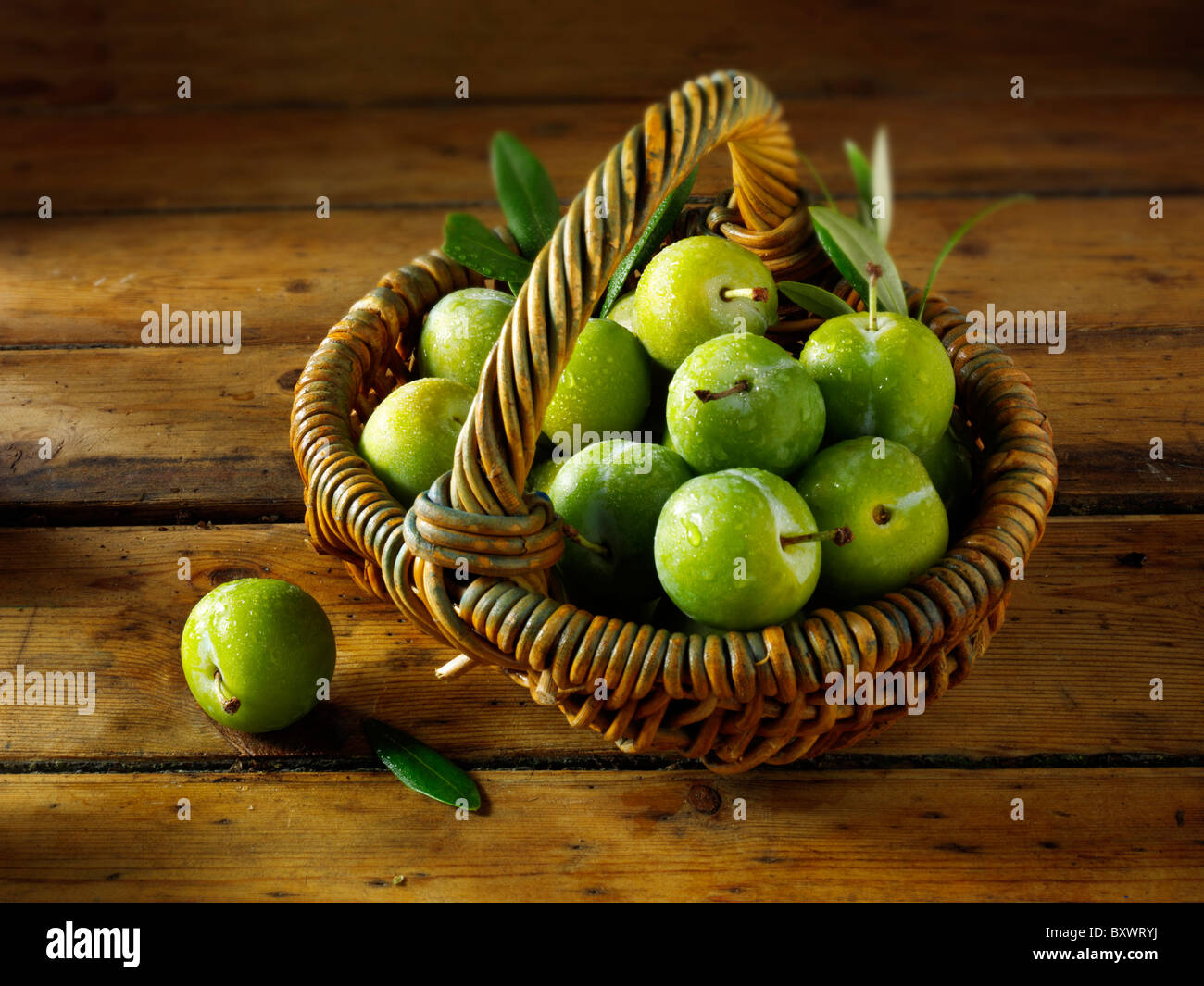 Fresh Greengage plums Stock Photo