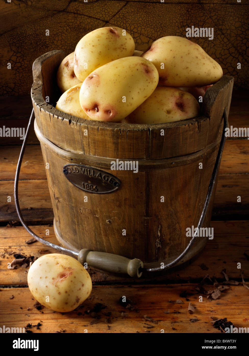King Edwards Potatoes Stock Photo Alamy