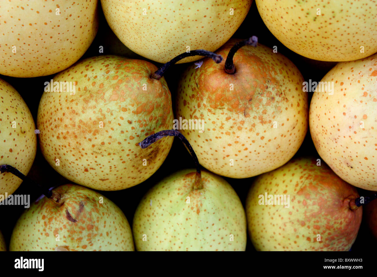 Pear fruits Stock Photo