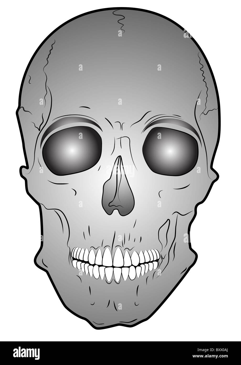 skulls warning symbol Stock Photo Alamy